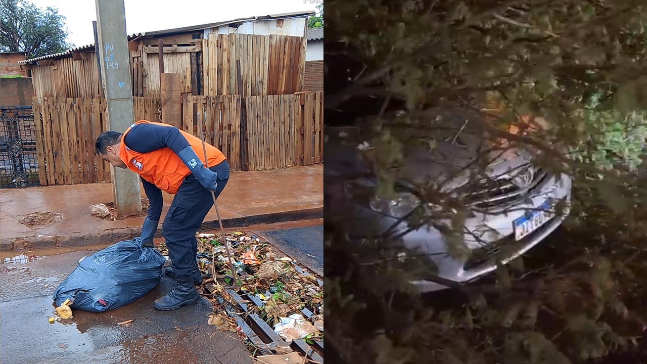 Ventania derruba árvore sobre carro e Defesa Civil emite alerta à população