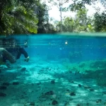 A partir deste sábado, Bonito começa a cobrar nova taxa ambiental de turistas e muda regra do ecoturismo