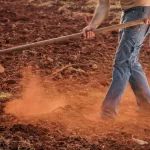 Capinar um lote pode turbinar testosterona tanto quanto academia, aponta estudo
