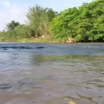 Jovem de 21 anos é encontrado morto após desaparecer no Rio Aquidauana