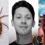 Jovem morre após tomar açaí contaminado com fezes