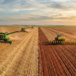 Safra 2025/2026 em MS: Colheita da Soja atinge 14,9% e Plantio do Milho avança no Estado