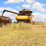 Safra em Mato Grosso do Sul avança, mas enfrenta desafios climáticos