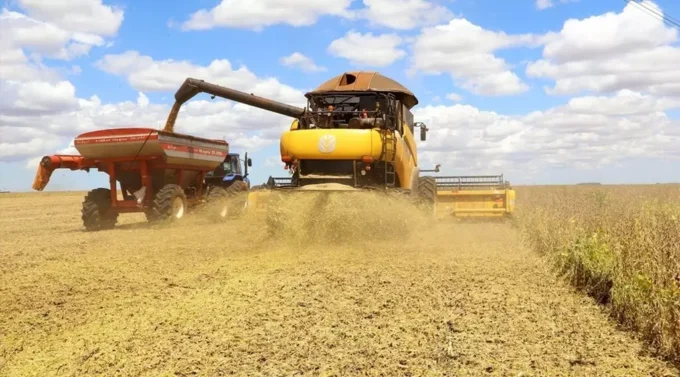Safra em Mato Grosso do Sul avança, mas enfrenta desafios climáticos