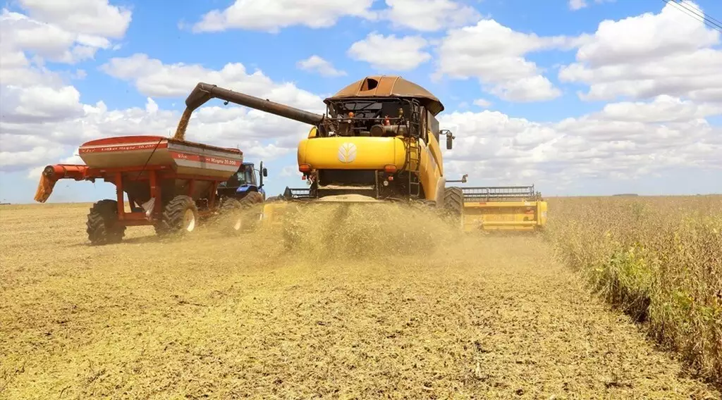 Safra em Mato Grosso do Sul avança, mas enfrenta desafios climáticos