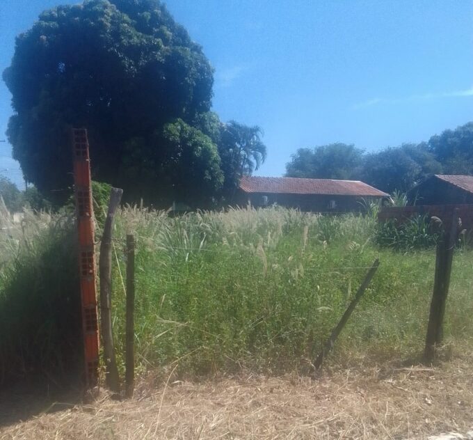 Prefeitura publica edital para notificação de imóveis abandonados e reforça combate a focos de doenças em Jardim