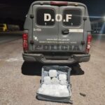 DOF apreende skunk que seria entregue em Campo Grande