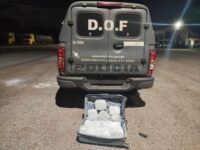 DOF apreende skunk que seria entregue em Campo Grande