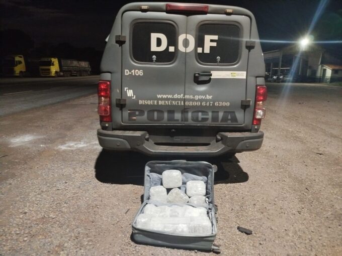 DOF apreende skunk que seria entregue em Campo Grande