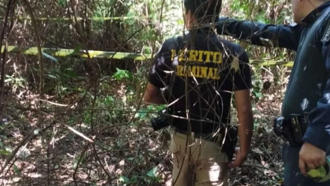 Corpo é encontrado em mata e polícia suspeita de ataque por javalis em Douradina