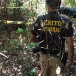 Corpo é encontrado em mata e polícia suspeita de ataque por javalis em Douradina