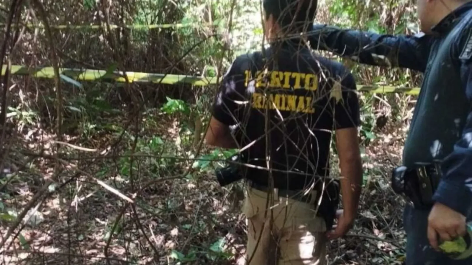 Corpo é encontrado em mata e polícia suspeita de ataque por javalis em Douradina