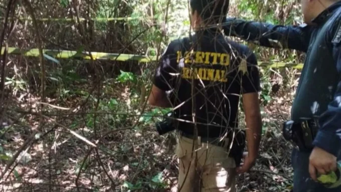 Corpo é encontrado em mata e polícia suspeita de ataque por javalis em Douradina