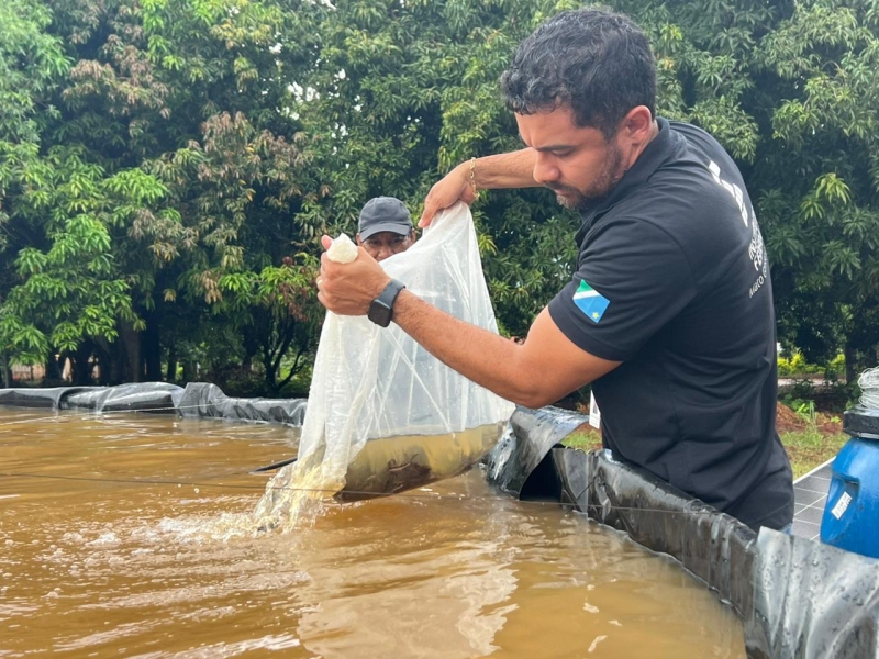Tecnologia em piscicultura chega a Nioaque e incentiva produção no campo