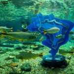 Recanto Ecológico Rio da Prata é eleito o melhor atrativo turístico do Brasil