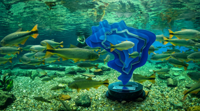 Recanto Ecológico Rio da Prata é eleito o melhor atrativo turístico do Brasil