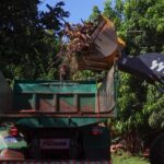 Prefeitura de Jardim intensifica ações de limpeza urbana em diversos pontos do município