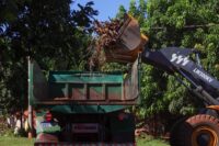 Prefeitura de Jardim intensifica ações de limpeza urbana em diversos pontos do município