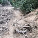 Ossada encontrada em Aquidauana pode ser de casal desaparecido há 12 anos