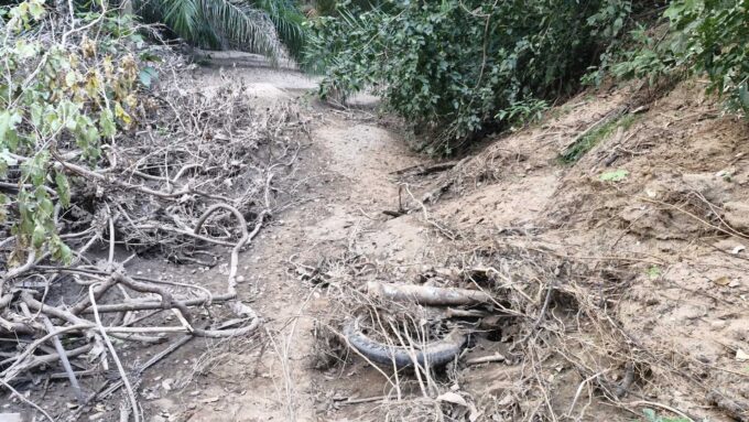 Ossada encontrada em Aquidauana pode ser de casal desaparecido há 12 anos