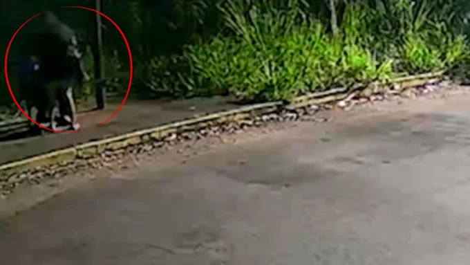 VÍDEO: Idoso é agredido com barra de ferro durante roubo em ponto de ônibus no Nova Lima