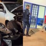 Motorista embriagado causa acidente, foge sem prestar socorro e é preso horas depois (vídeo)