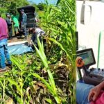 Homem morre atacado por javali em fazenda de Douradina