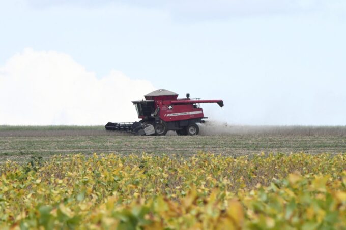Fundect investe R$ 2,7 milhões em pesquisa agrícola em Mato Grosso do Sul