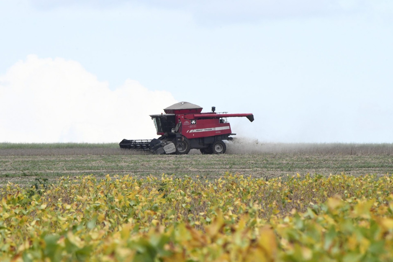 Fundect investe R$ 2,7 milhões em pesquisa agrícola em Mato Grosso do Sul