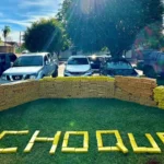 Batalhão de Choque apreende mais de uma tonelada de maconha durante ação em Sidrolândia