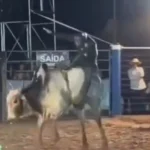 VÍDEO: Peão morre ao ser pisoteado por touro durante rodeio em Rondônia