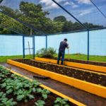 Prefeitura fortalece parceria com APAE e entrega mais de 800 mudas para nova etapa da horta comunitária