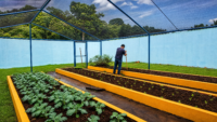 Prefeitura fortalece parceria com APAE e entrega mais de 800 mudas para nova etapa da horta comunitária