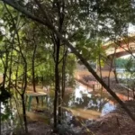 Corpo de motorista de caminhão que caiu no Rio Vacaria é encontrado preso às ferragens
