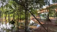 Corpo de motorista de caminhão que caiu no Rio Vacaria é encontrado preso às ferragens