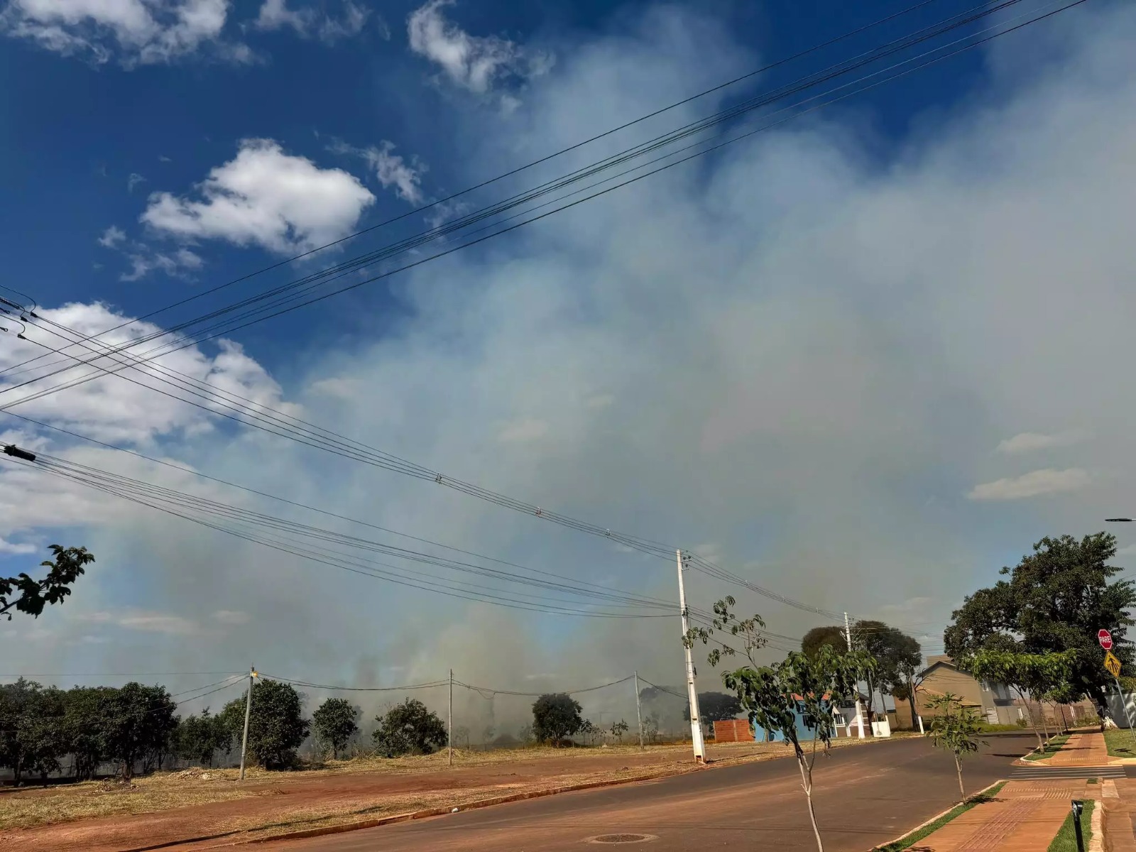 Tempo seco aumenta risco de incêndios e mobiliza autoridades ambientais em Mato Grosso do Sul